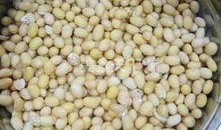 爆料豆腐脑做法视频,轻松学会家常美味