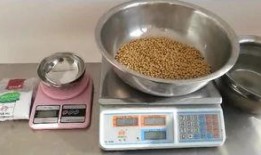 爆料豆腐脑做法视频,轻松学会家常美味